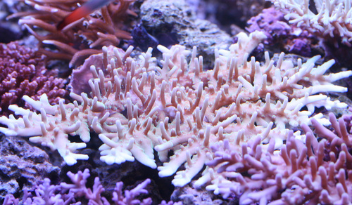 a0162261_2093351.jpg