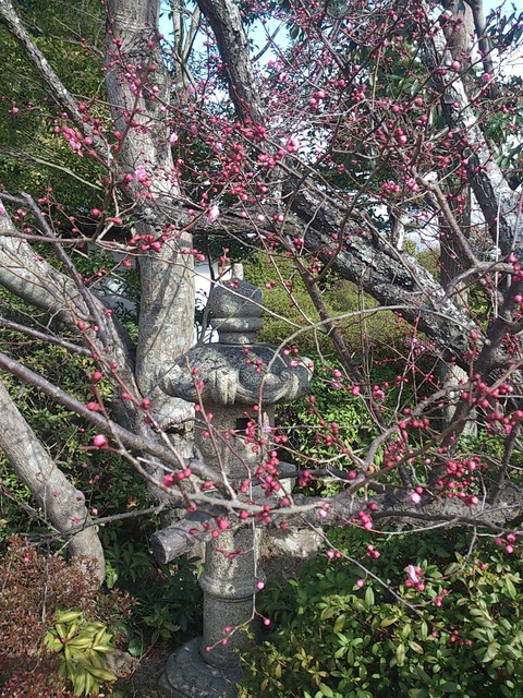 b0217364_10354469.jpg