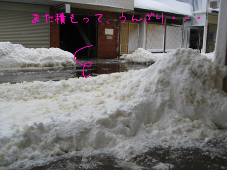d0050871_16542872.jpg