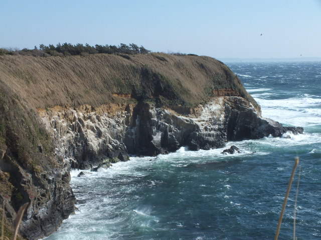 e0145782_163044.jpg