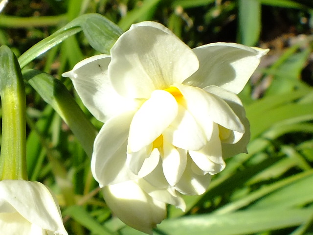 e0145782_16333792.jpg