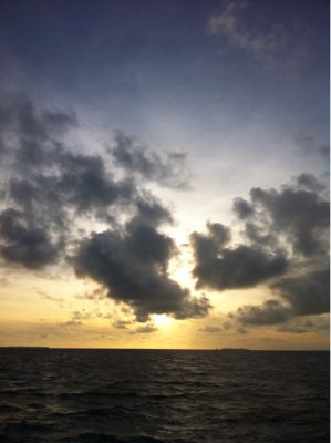 c0237588_351092.jpg