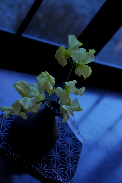 c0246290_2073816.jpg