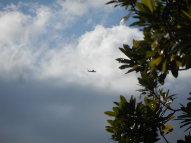 f0130894_22132611.jpg