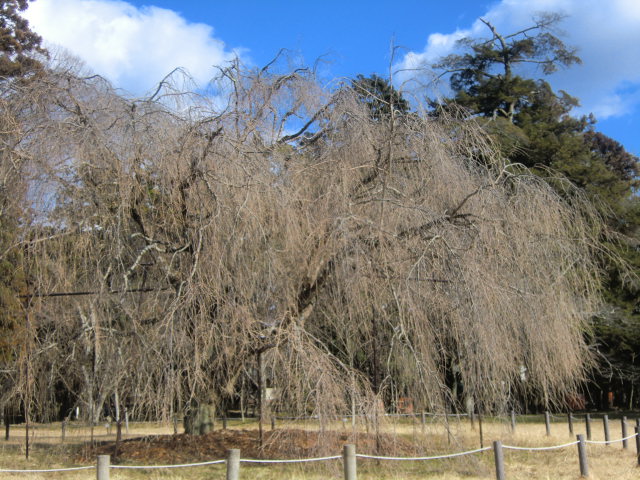 b0044296_23324763.jpg