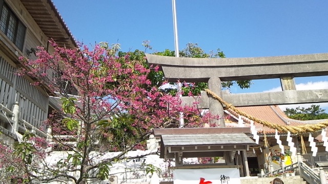 c0193396_16483086.jpg
