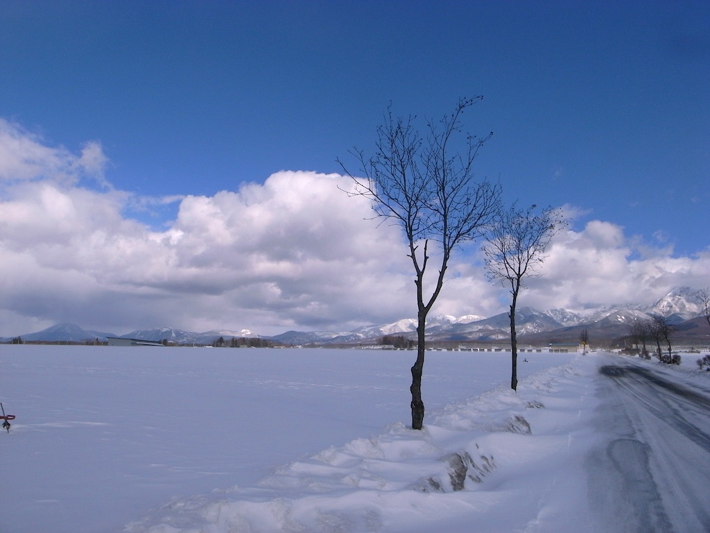 f0108399_3151523.jpg