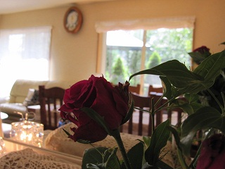 c0152002_1122952.jpg
