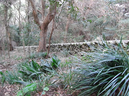 f0187402_21575330.jpg