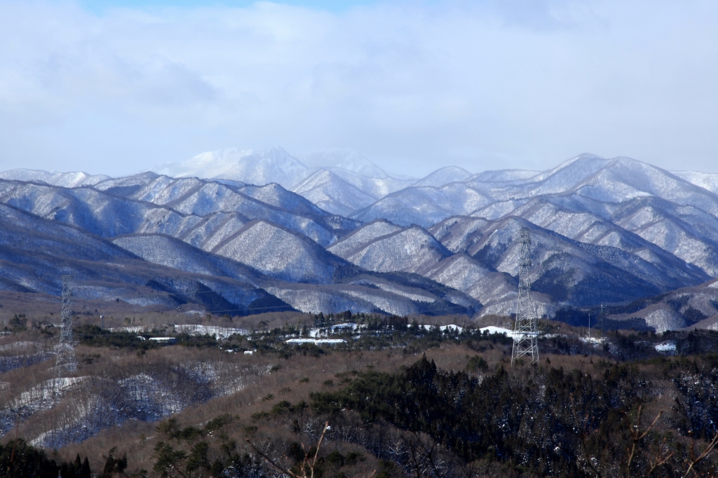 b0050305_20125143.jpg