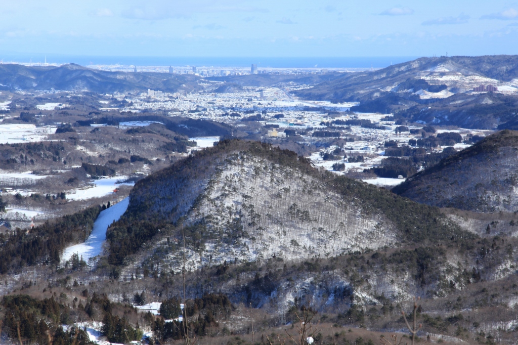 b0050305_2012873.jpg