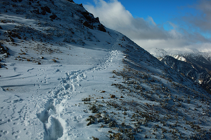 a0148606_21125217.jpg