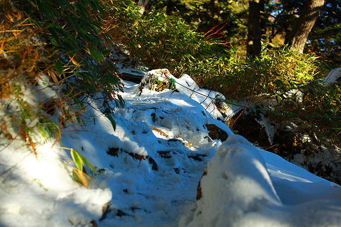 a0148606_2143028.jpg