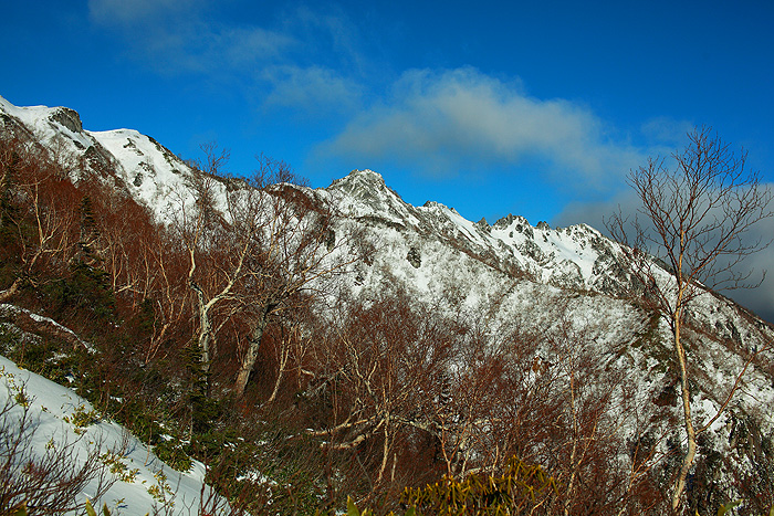 a0148606_2162473.jpg