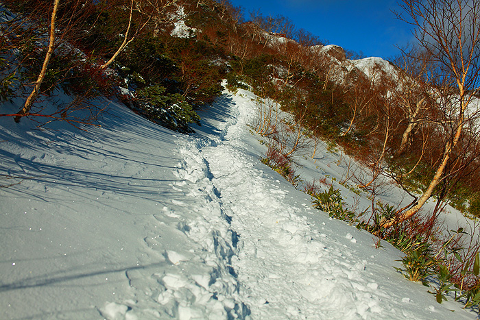 a0148606_21719100.jpg
