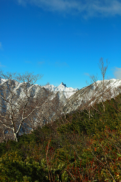 a0148606_217399.jpg