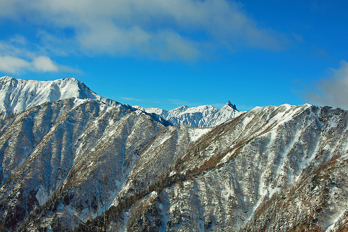 a0148606_2175280.jpg