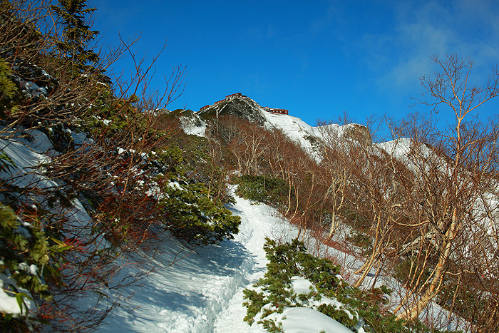a0148606_2183693.jpg