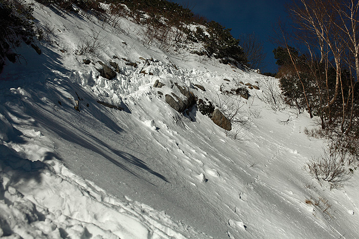 a0148606_2184894.jpg