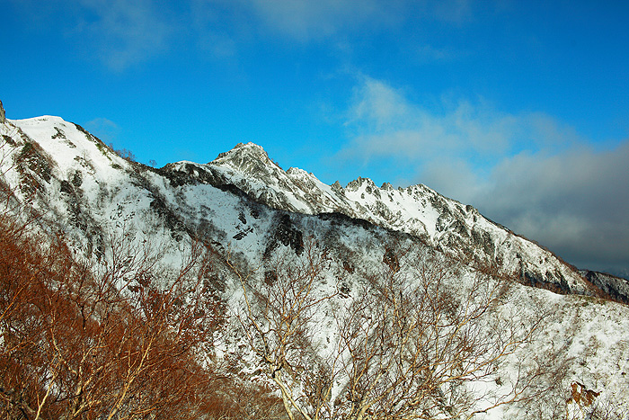 a0148606_218998.jpg