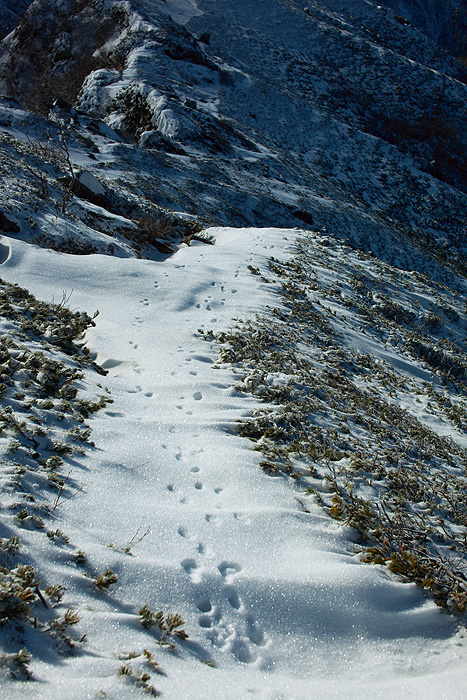 a0148606_22314559.jpg