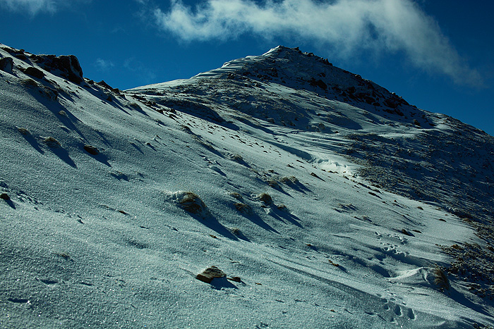 a0148606_22331252.jpg