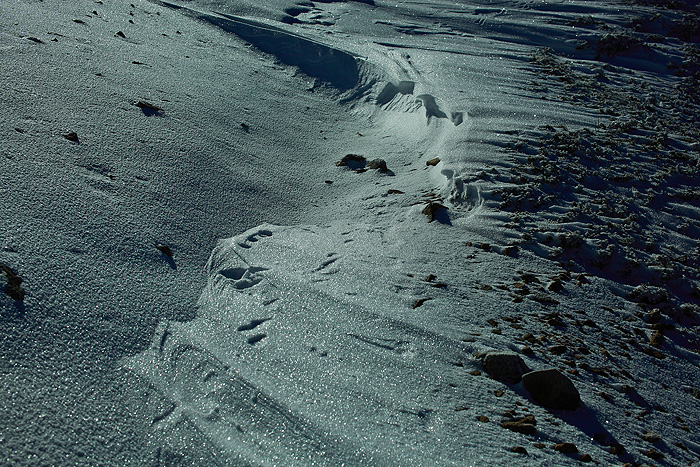 a0148606_2233317.jpg