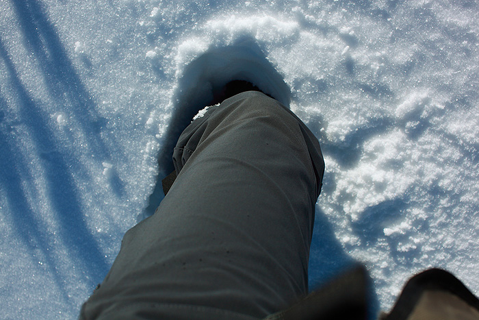 a0148606_22345326.jpg