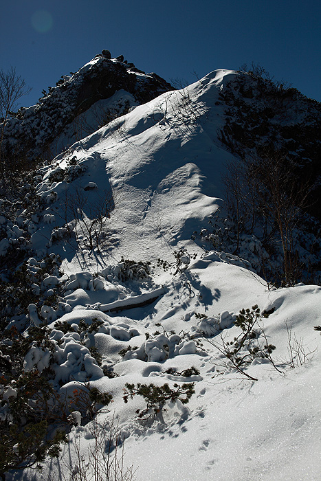 a0148606_22423364.jpg