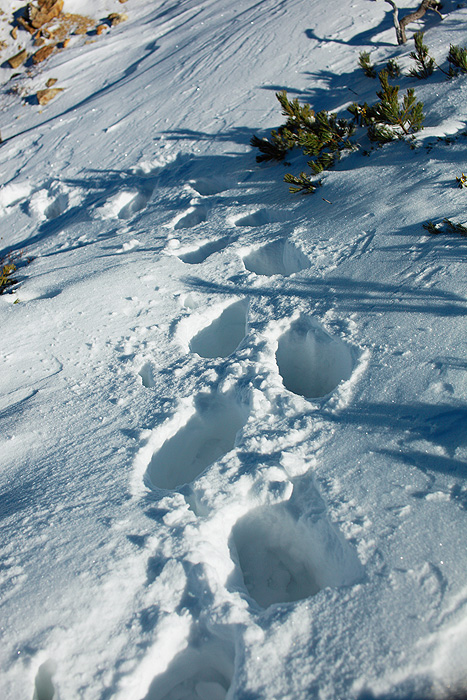 a0148606_224729100.jpg