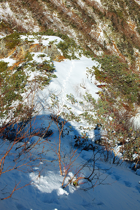 a0148606_22523463.jpg