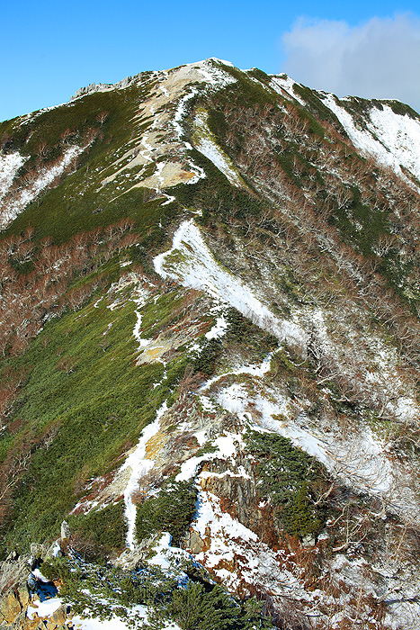 a0148606_22533542.jpg