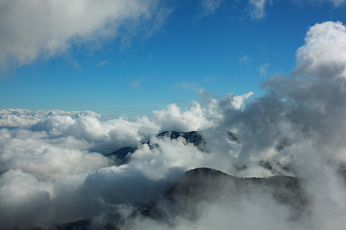 a0148606_22553819.jpg