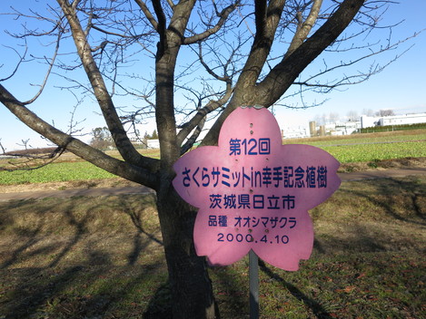 a0227507_1215031.jpg