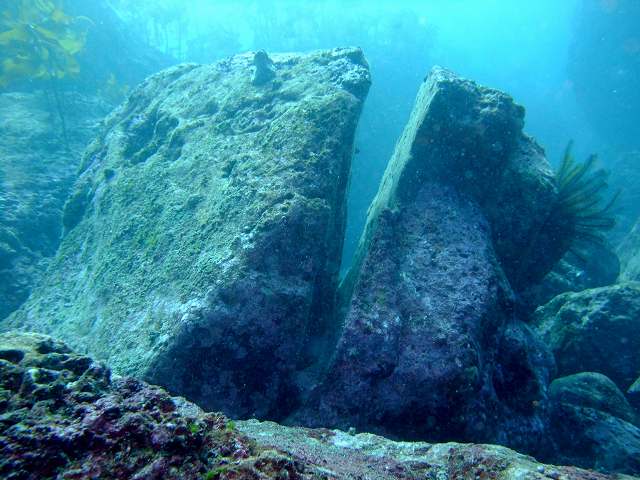 d0175710_18262418.jpg