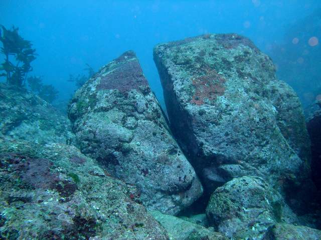 d0175710_1829288.jpg