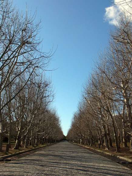 e0083517_82327.jpg