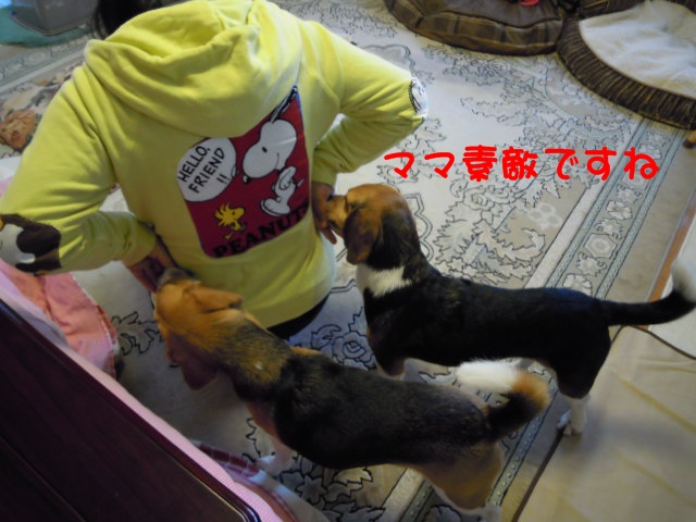 c0166622_10344881.jpg
