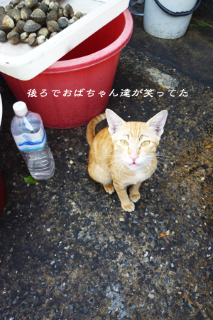 d0042827_025621.jpg