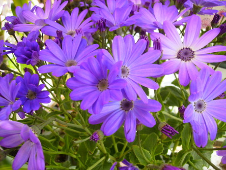 c0103830_13533932.jpg