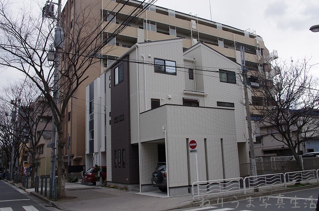 a0009142_10584220.jpg