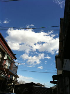 f0179947_111944.jpg
