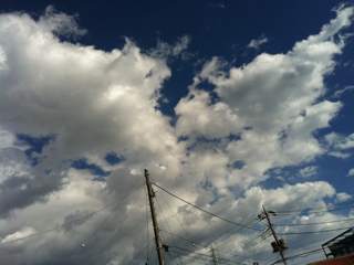 f0179947_113259.jpg