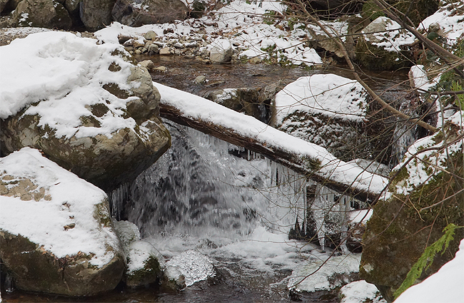 f0214649_1723015.jpg
