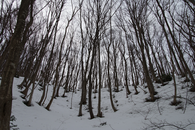 f0214649_17292280.jpg