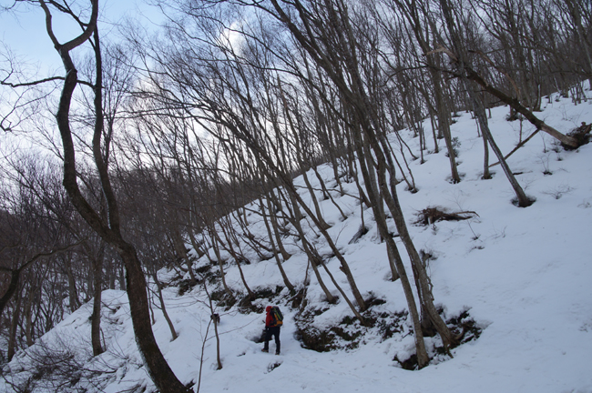 f0214649_17302127.jpg