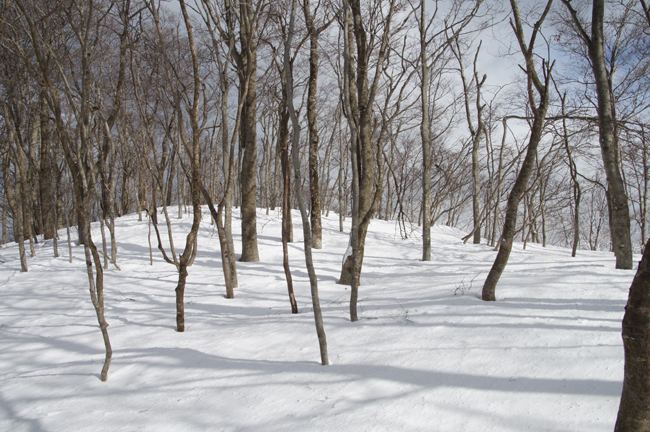 f0214649_2112077.jpg