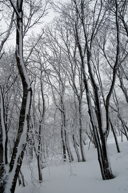 f0214649_21202066.jpg