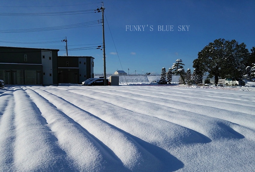c0145250_11484994.jpg