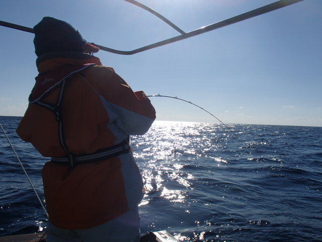 a0248152_1952799.jpg